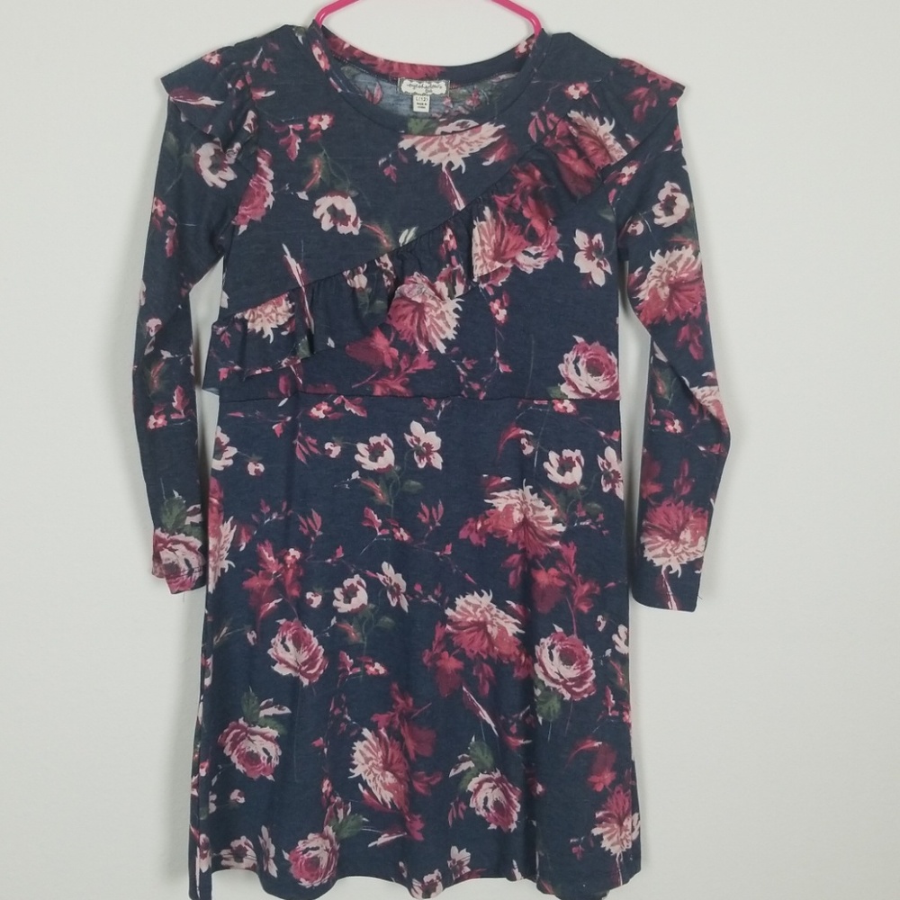 Nwot tag long sleeve size 12 dress Girl